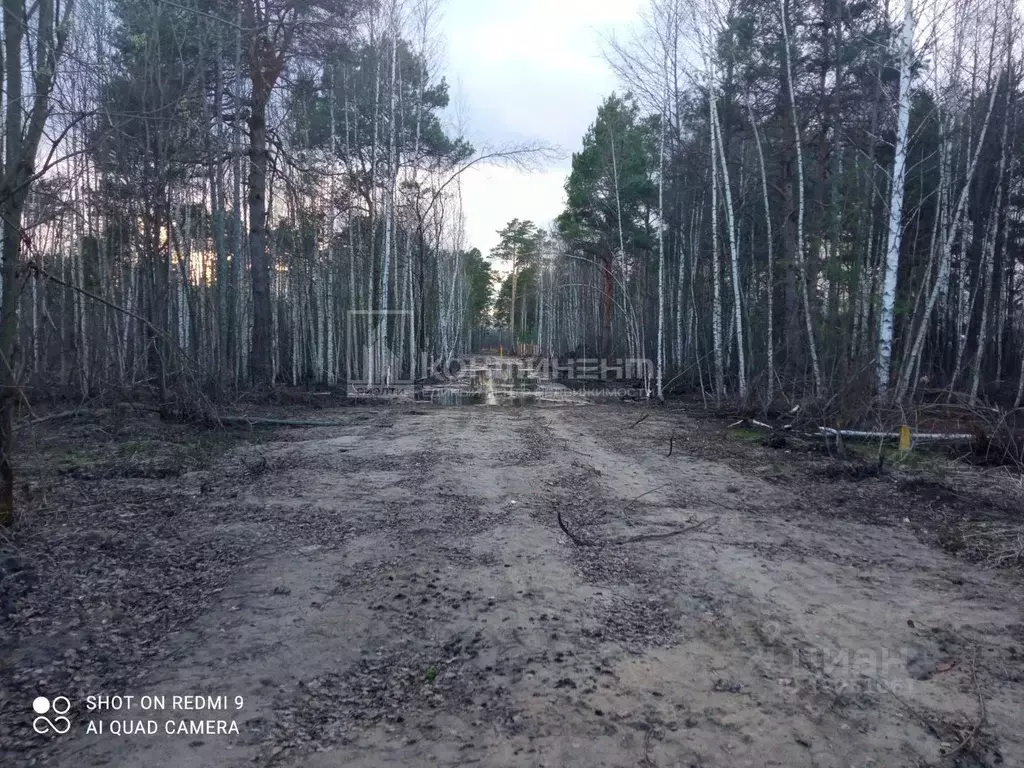 Участок в Владимирская область, Собинка ул. Любимая, 16 (10.0 сот.) - Фото 1