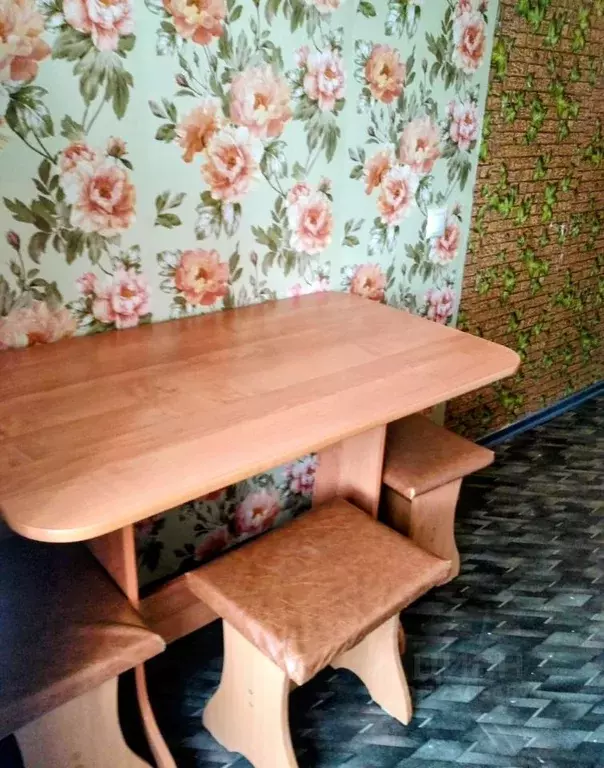 1-к кв. Новосибирская область, Новосибирск ул. Бориса Богаткова, 219 ... - Фото 1