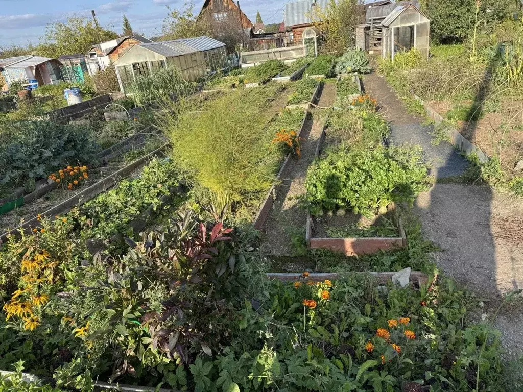 Участок в Свердловская область, Белоярский муниципальный округ, Ясень ... - Фото 1