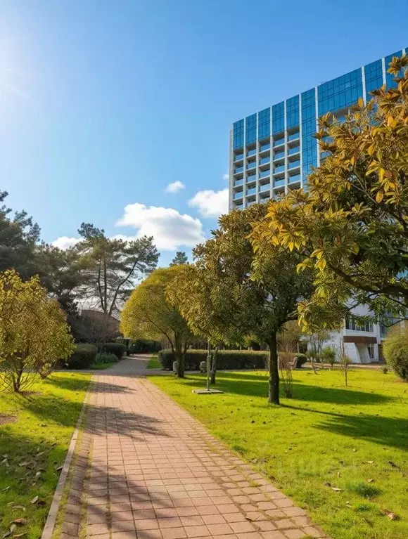 Студия Краснодарский край, Сочи ул. Ленина, 219 (21.3 м) - Фото 1