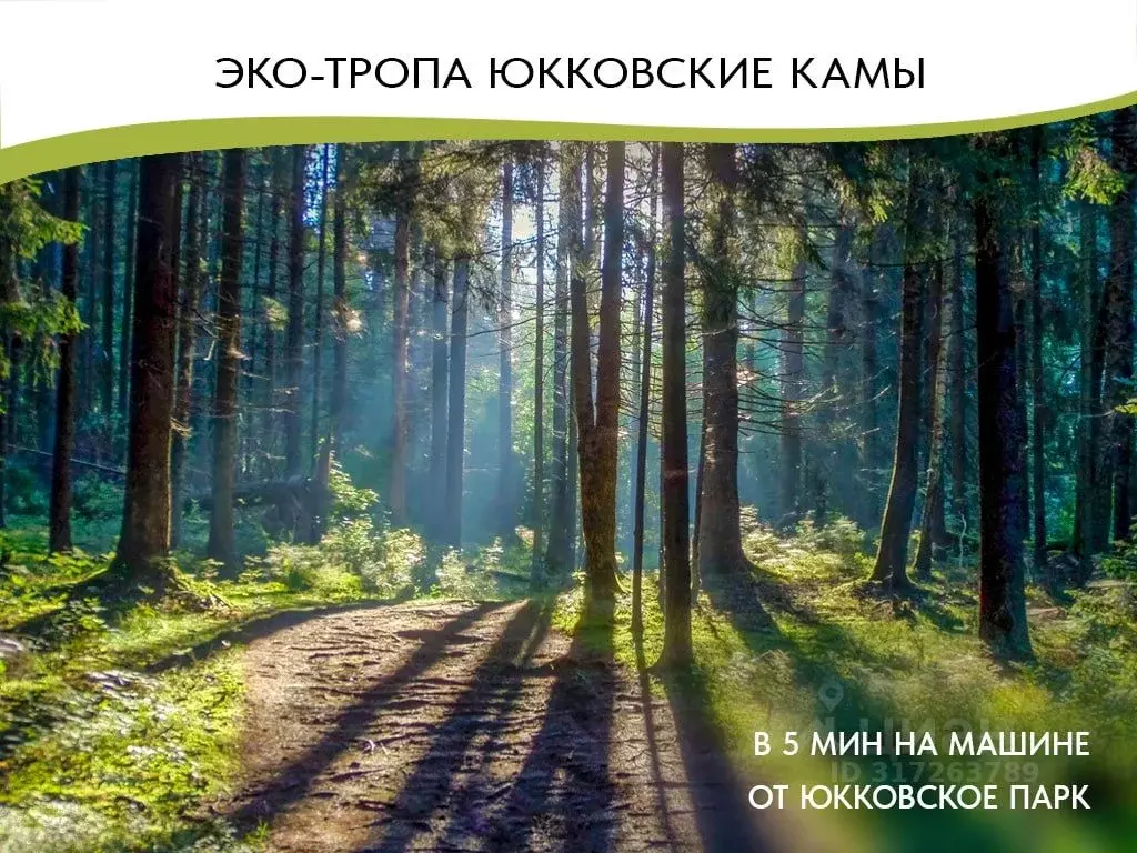 Таунхаус в Ленинградская область, Всеволожский район, Юкковское с/пос, ... - Фото 1