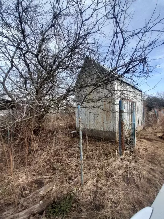 Дом в Курская область, Курск  (20 м) - Фото 1