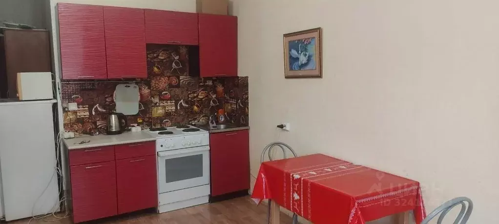 Студия Новосибирская область, Бердск Черемушная ул., 51к1 (28.0 м) - Фото 1