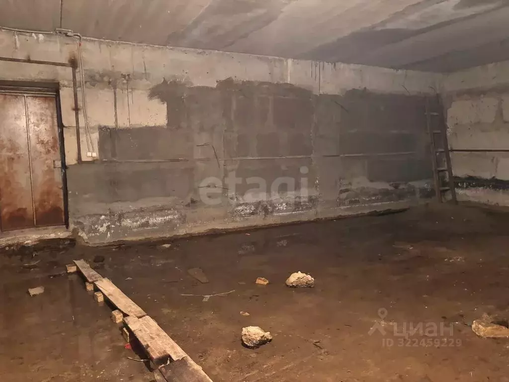 Помещение свободного назначения в Ставропольский край, Ставрополь ул. ... - Фото 1