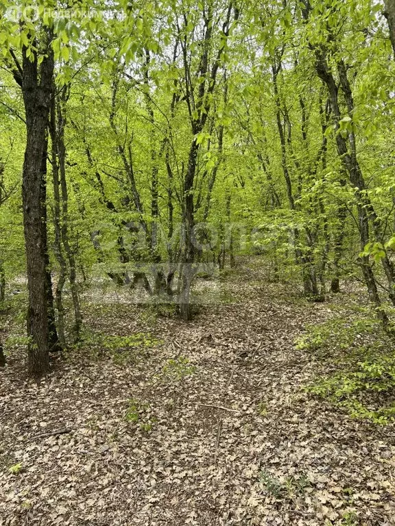 Участок в Севастополь (5.6 м) - Фото 2