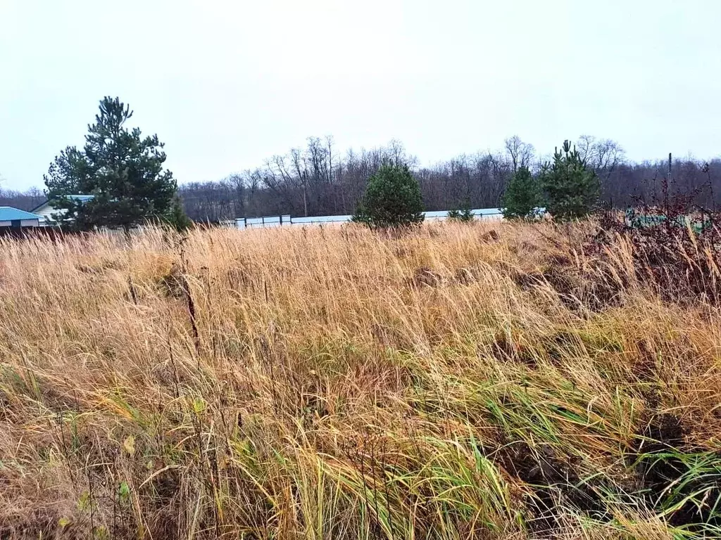 Участок в Владимирская область, Кольчугинский муниципальный округ, с. ... - Фото 2