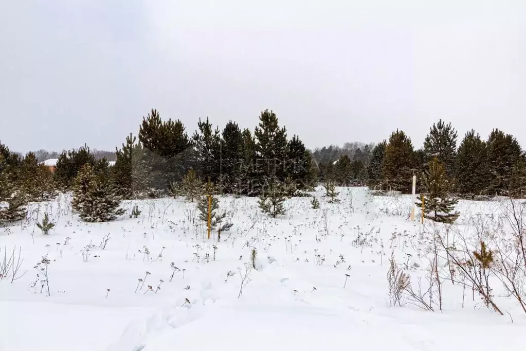 Участок в Тюменская область, Тюменский район, Новокаменский кп  (9.2 ... - Фото 0