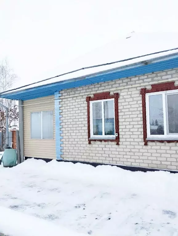 Коттедж в Омская область, Азовский Немецкий Национальный район, с. ... - Фото 1