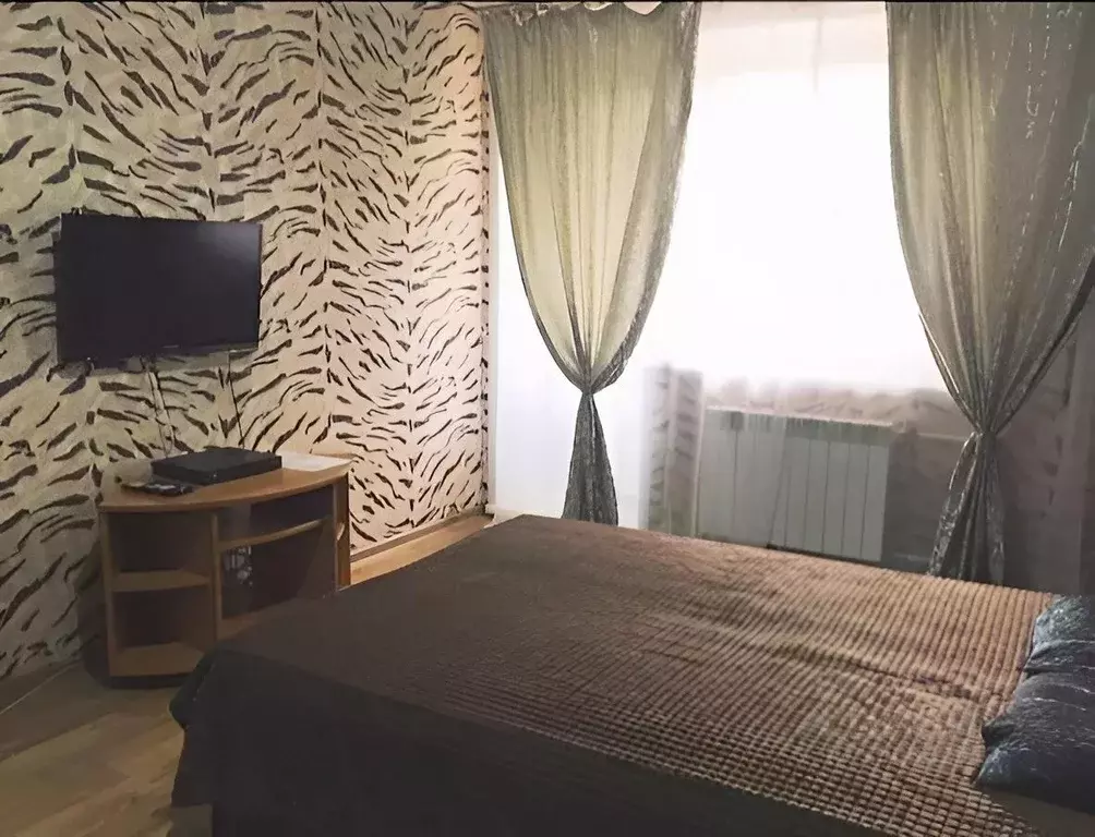 1-к кв. Красноярский край, Красноярск Партизанская ул., 72 (33.0 м) - Фото 2