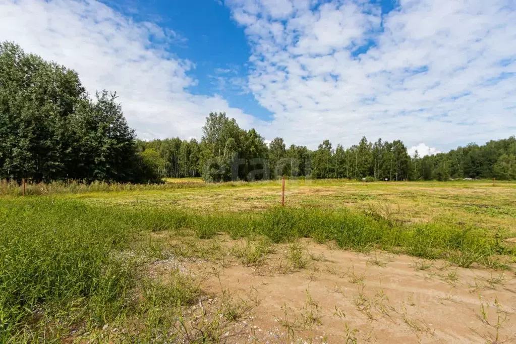 Участок в Свердловская область, Тугулымский городской округ, с. ... - Фото 0