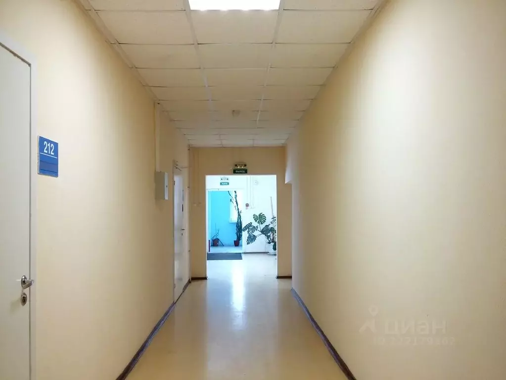 Офис в Санкт-Петербург Афонская ул., 2 (51 м) - Фото 2