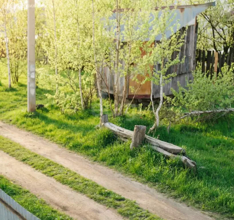 Участок в Ярославский муниципальный округ, СНТ Русьмебель (6 м) - Фото 1