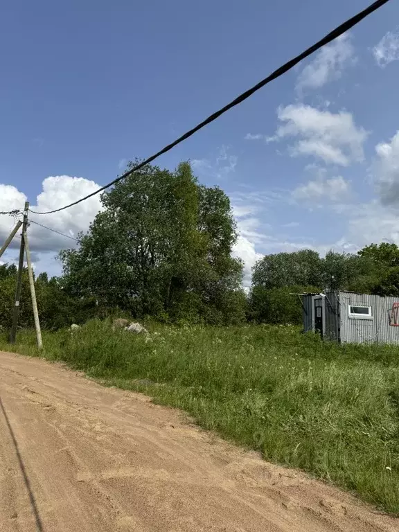 Участок в Ленинградская область, Приозерский район, Красноозерное ... - Фото 1