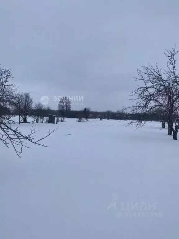 Участок в Чувашия, Моргаушский муниципальный округ, д. Тренькино  ... - Фото 0