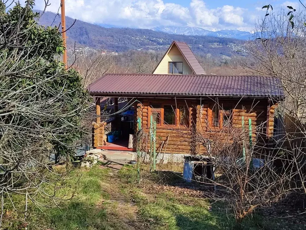 Участок в Краснодарский край, Сочи городской округ, с. Каштаны, Эпрон ... - Фото 1
