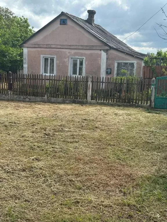 Дом в Крым, Белогорский район, с. Зыбины ул. Фруктовая (46 м) - Фото 1