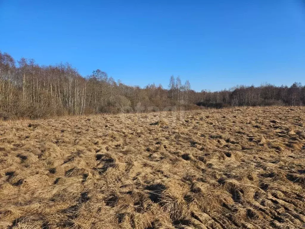 Участок в Псковская область, Псковский район, Писковичская волость, д. ... - Фото 1