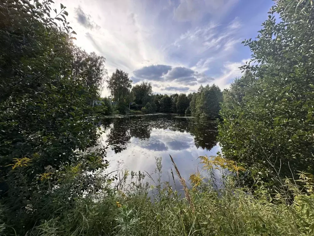 Участок в Нижегородская область, Кстовский муниципальный округ, д. ... - Фото 0