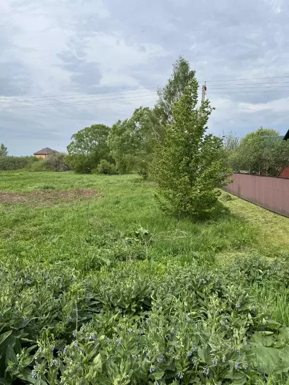 Участок в Смоленская область, Гагаринский муниципальный округ, д. ... - Фото 2