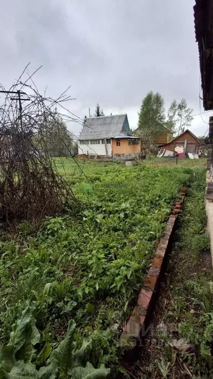 Участок в Башкортостан, Иглинский район, Ауструмский сельсовет, с. ... - Фото 1