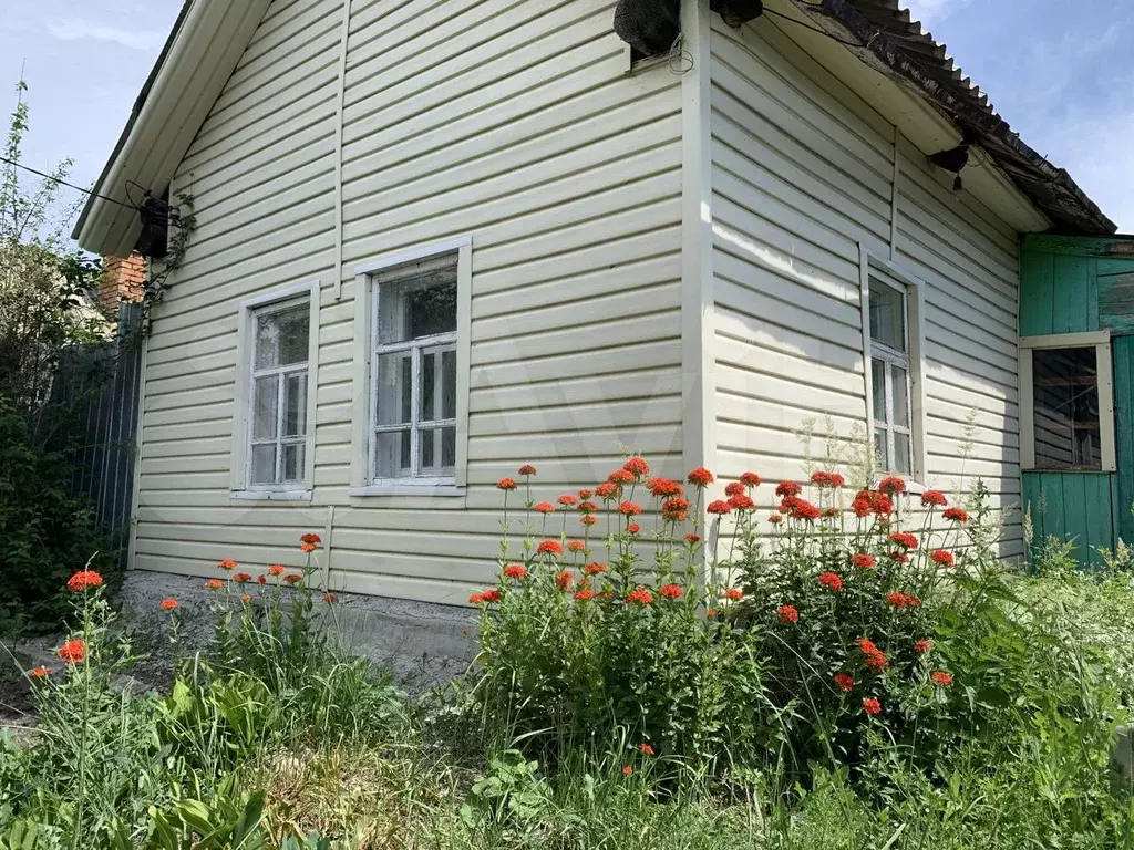 Купить Сад В Копейске Недорого