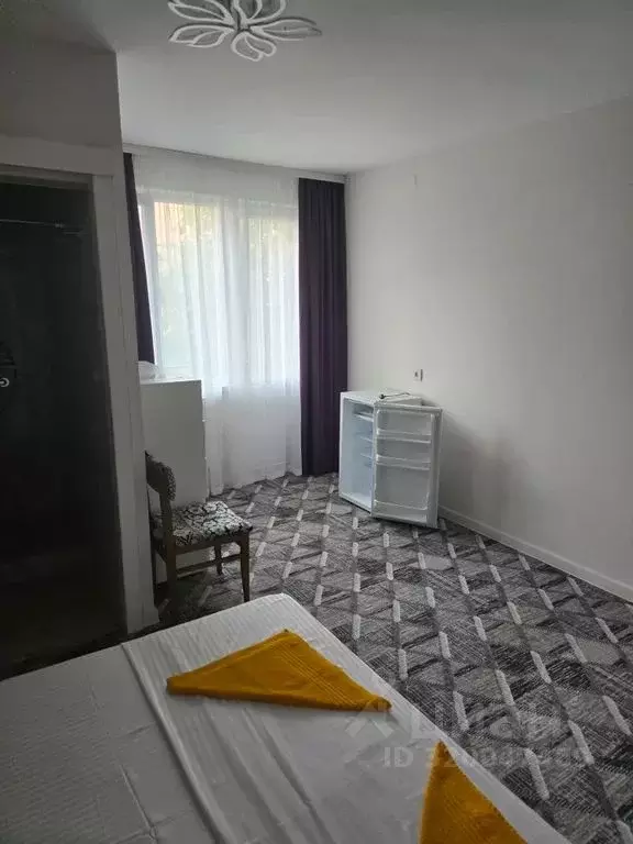 Комната Краснодарский край, Сочи городской округ, Дагомыс пгт ул. ... - Фото 2