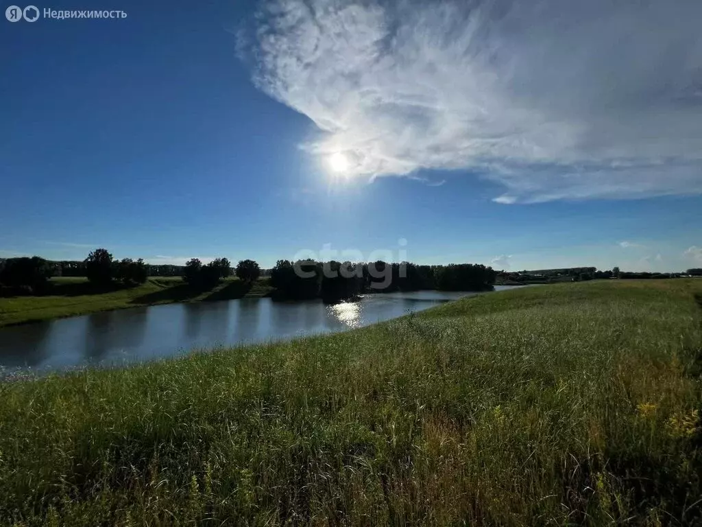 Участок в Искитимский район, село Улыбино (7.5 м) - Фото 0