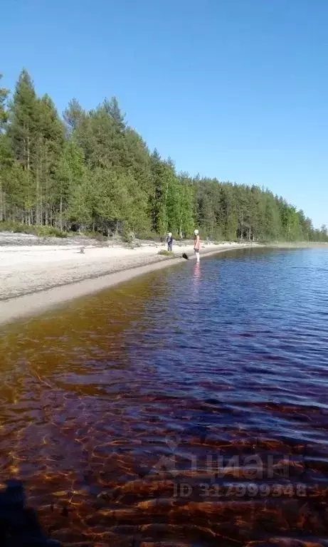 Дом в Карелия, Сегежский муниципальный округ, Каменка садоводческое ... - Фото 1