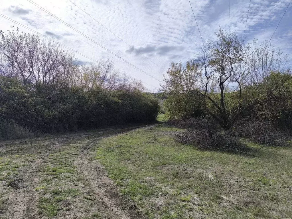 Участок в Симферопольский район, Перовское сельское поселение, село ... - Фото 1