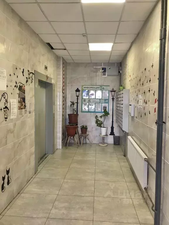 Квартира, студия, 25 м - Фото 1