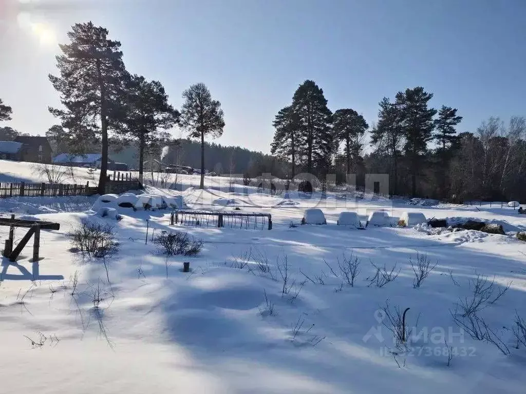 Участок в Новосибирская область, Новосибирский район, Кубовинский ... - Фото 1