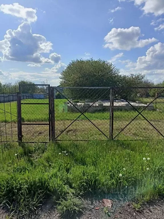 Участок в Белгородская область, Белгород Фазенда садоводческое ... - Фото 1