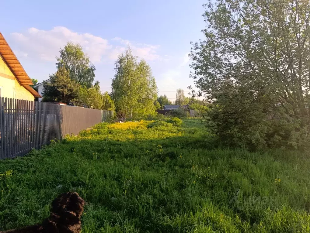 Участок в Московская область, Щелково городской округ, Простор СПК 4-я ... - Фото 1