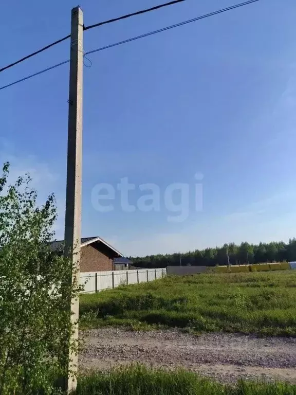 Участок в Ярославская область, Ярославский муниципальный округ, д. ... - Фото 2
