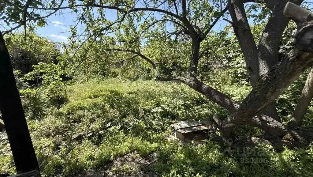 Участок в Ростовская область, Аксай ул. Калинина (5.1 сот.) - Фото 1