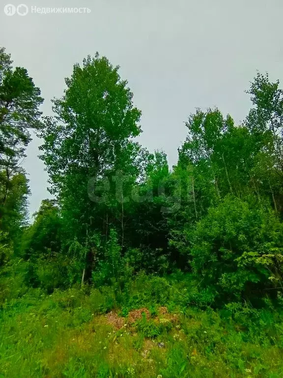 Участок в Тюмень (14 м) - Фото 1