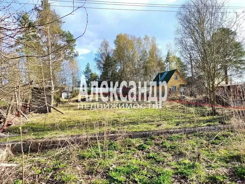 Участок в Ленинградская область, Выборг ул. Ладная, 52 (12.0 сот.) - Фото 1