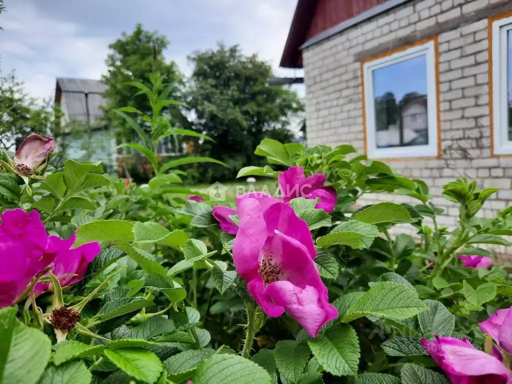 Дом в Карелия, Прионежский район, Деревянское с/пос, Эфир СНТ ул. ... - Фото 0