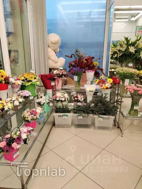 Торговая площадь в Санкт-Петербург просп. Стачек, 41 (60 м) - Фото 2