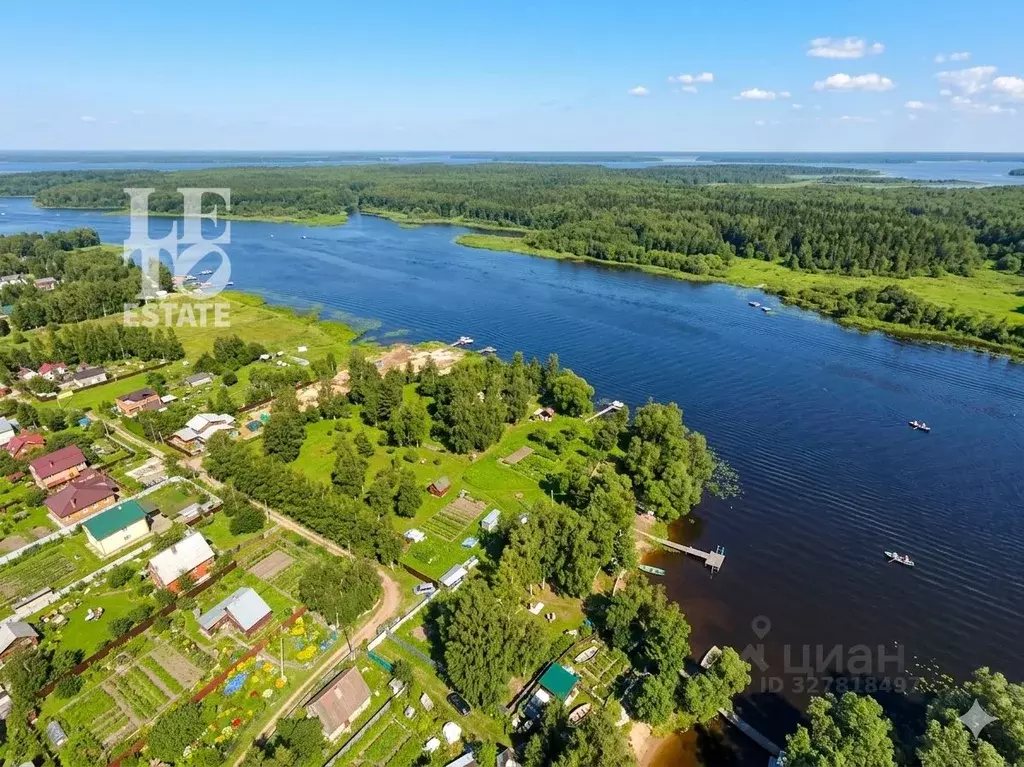 Участок в Тверская область, Конаковский муниципальный округ, д. Малое ... - Фото 1