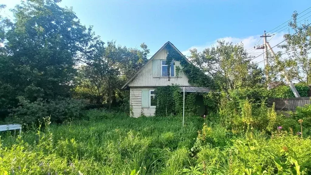 Дом в Калужская область, Боровский муниципальный округ, Кривское ... - Фото 1