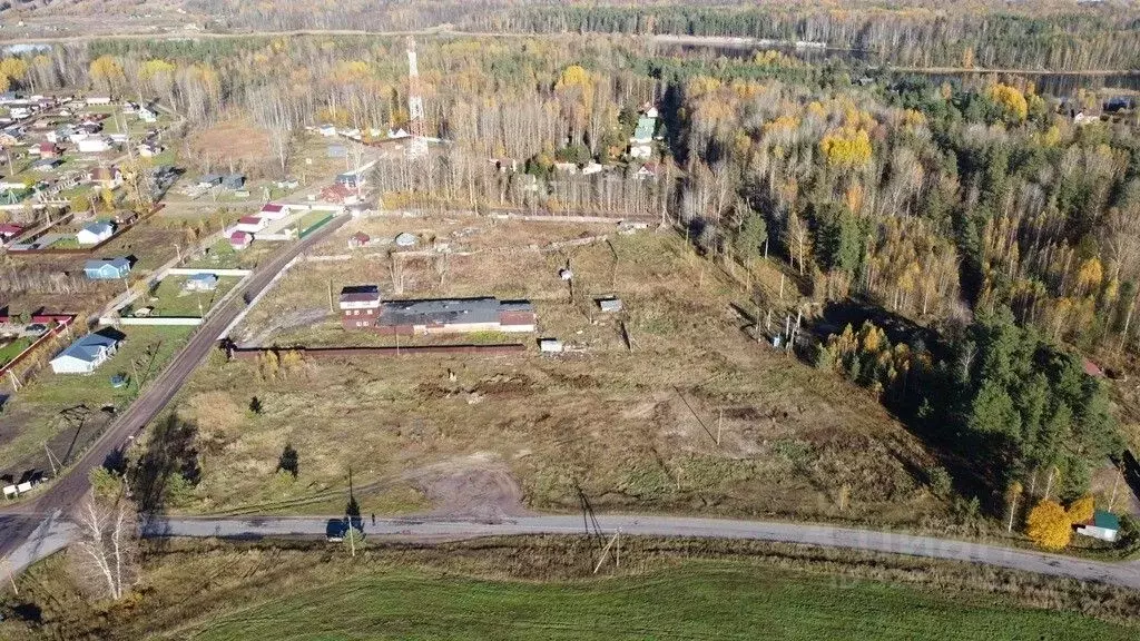 Участок в Ленинградская область, Выборгский район, Гончаровское с/пос, ... - Фото 2
