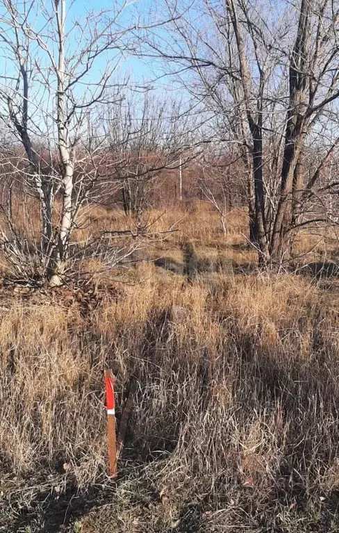 Участок в Ростовская область, Октябрьский район, пос. Персиановский, ... - Фото 2