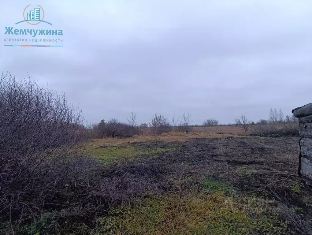 Дом в Ульяновская область, Мелекесский район, Лебяжинское с/пос, с. ... - Фото 2