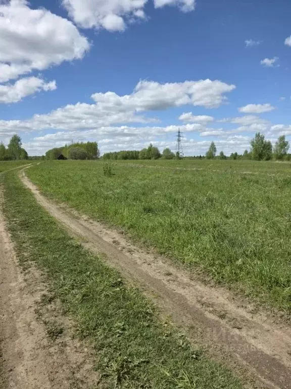 Участок в Тверская область, Калининский муниципальный округ, д. Кадино ... - Фото 1