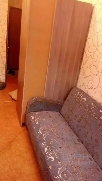 Студия Красноярский край, Красноярск ул. Академгородок, 12 (16.0 м) - Фото 1