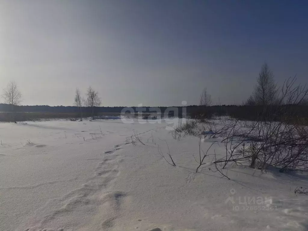 Участок в Курганская область, Курган Мостовик СНТ, ул. 14-я (5.0 сот.) - Фото 0