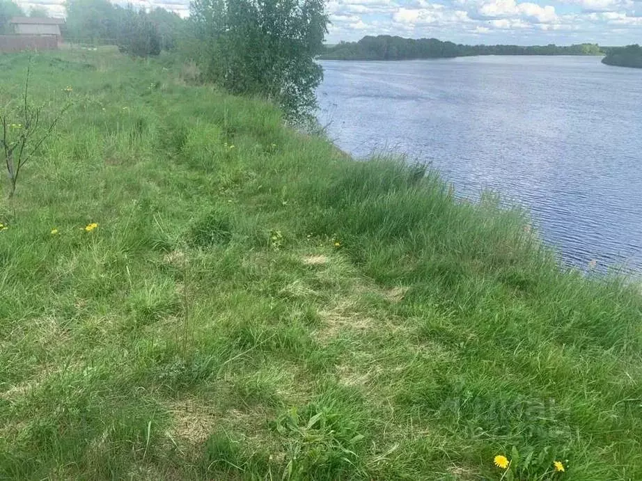 Участок в Новгородская область, Новгородский район, Савинское с/пос, ... - Фото 1