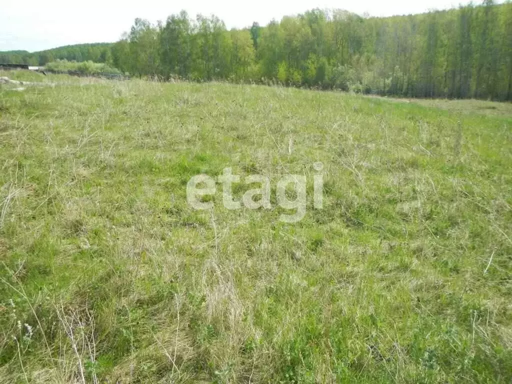 Участок в Красноярский край, Канский муниципальный округ, село Крутая ... - Фото 2