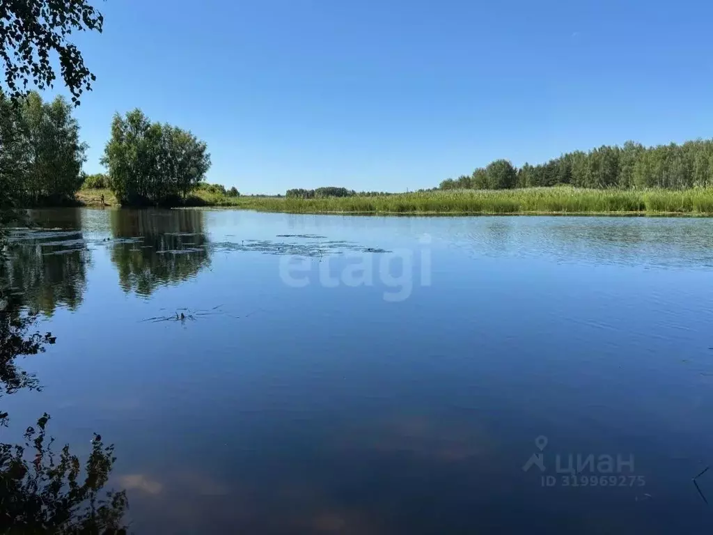 Участок в Костромская область, Красносельский район, Шолоховское ... - Фото 0